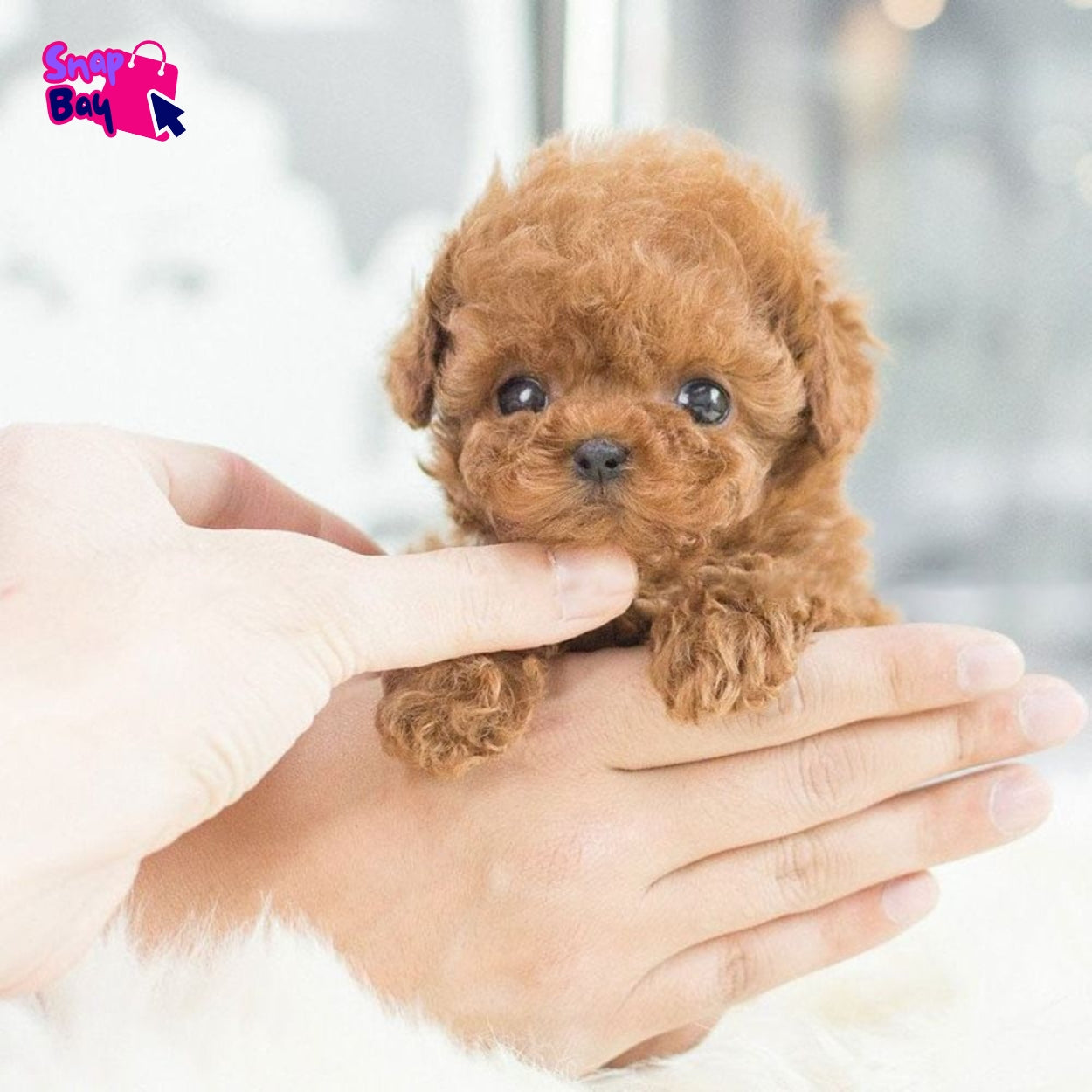 BuddyBot™ – The Smart, Lifelike Robotic Puppy Companion