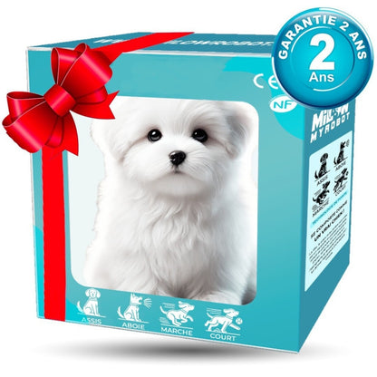 BuddyBot™ – The Smart, Lifelike Robotic Puppy Companion